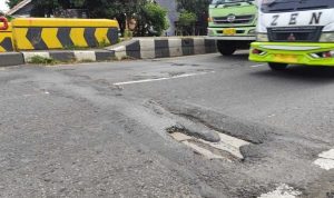 2436c6a1-20e7-404f-9dc8-46036ca717cd